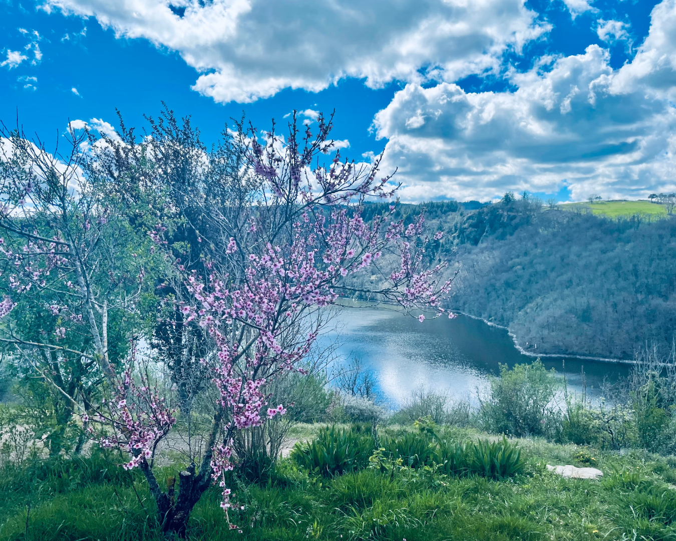photos hébergement insolite Loire